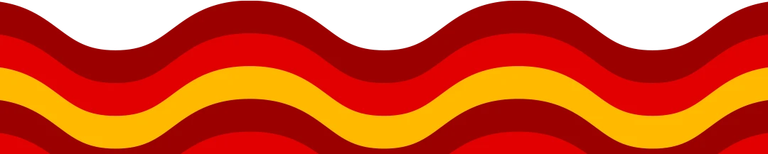 Vector footer formulario